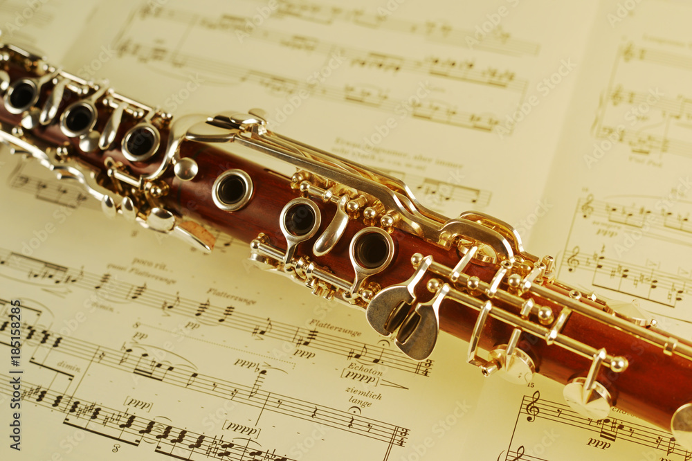 Obraz premium Clarinet on musical notes