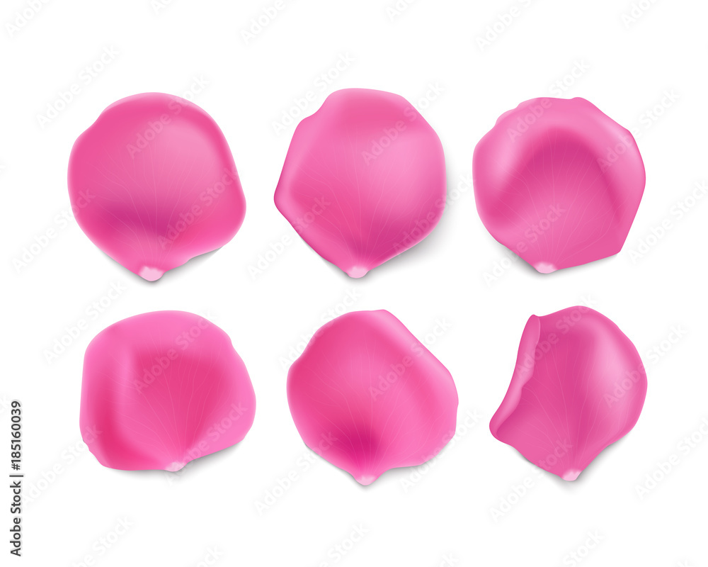 Set of bright pink rose petals isolated on white background. Design elements for greeting cards, banners, background, flyers. Stock vector illustration.