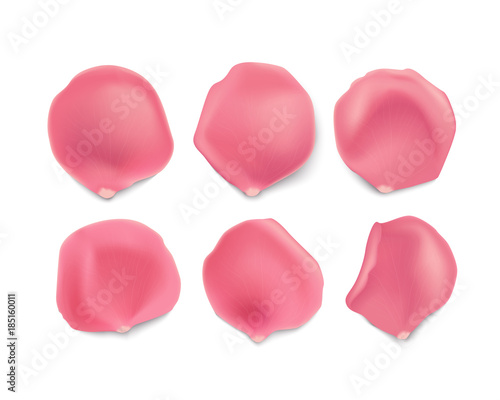 Set of soft pink rose petals isolated on white background. Design elements for greeting cards, banners, background, flyers. Stock vector illustration.