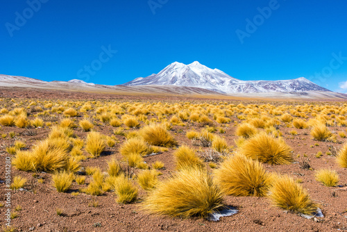 Paysage de l'altiplano photo