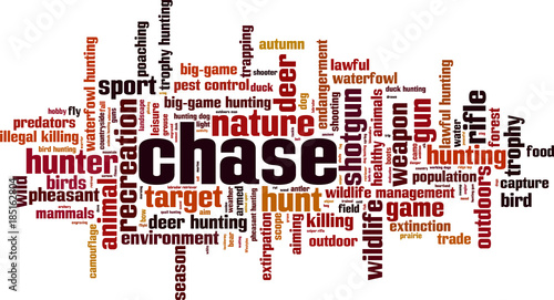 Chase word cloud
