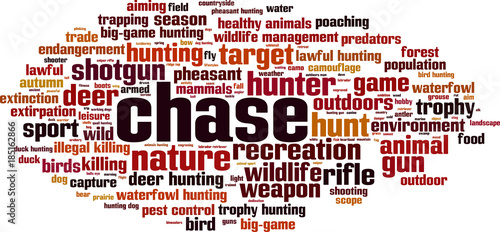Chase word cloud