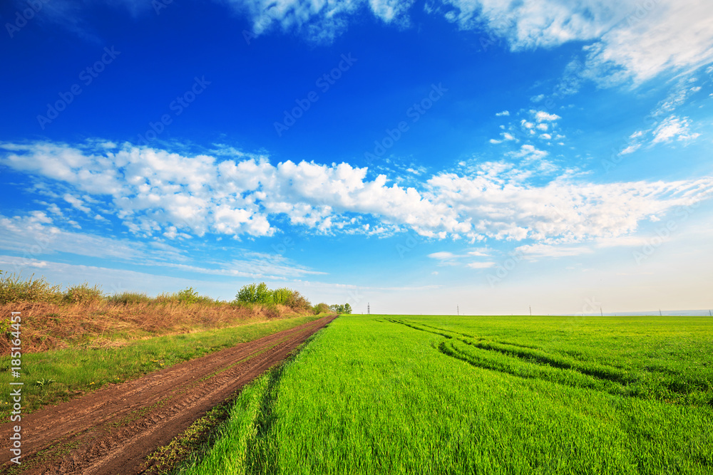 Road through the green field of grass and blue sky with clouds. Beautiful spring landscape. 