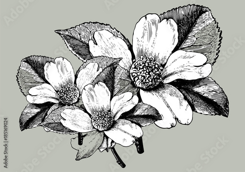Vintage bouquet illustration