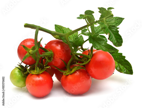 Red tomatoes branch isolated on white background. Vegetables. Organic food. Tasty and healthy. Flat lay, top view