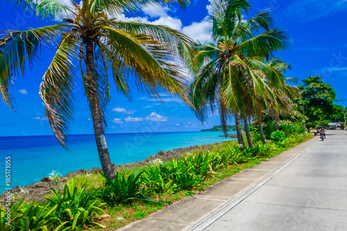 Palm trees in one side of a road in San Andres  Colombia in a beautiful beach background