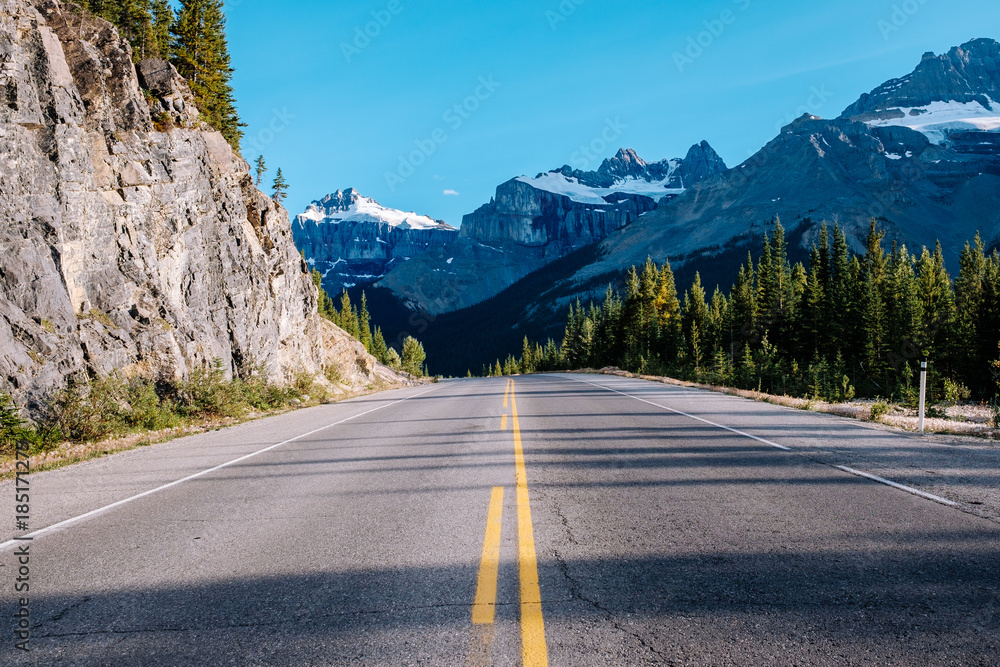 Fototapeta premium Icefield Parkway