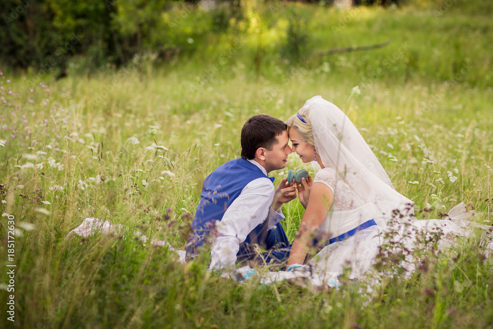 Wedding couple in park. Bride and groom holding blue cupcake and kissing. Marriage concept Wedding couple in park. Bride and groom holding blue cupcake and kissing. Marriage concept