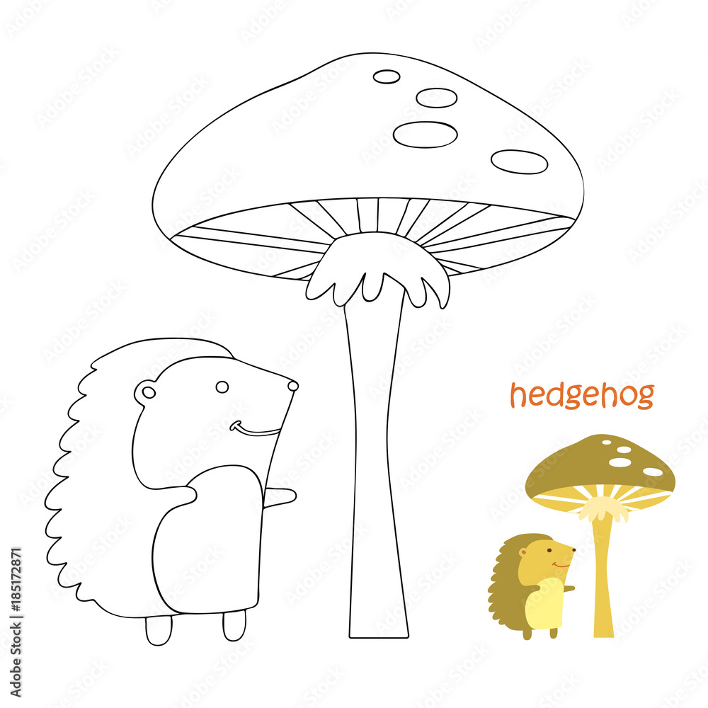 Kids coloring page - hedgehog Stock Illustration | Adobe Stock