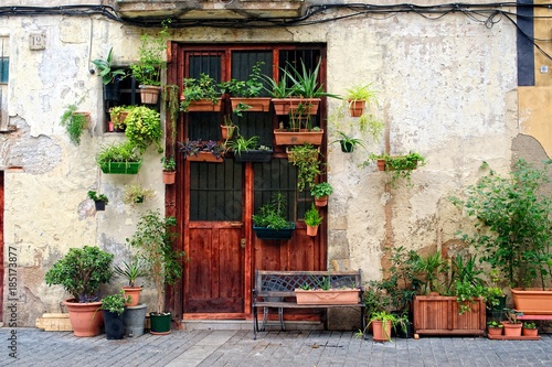 Decorated wall with door and flowers in Spain