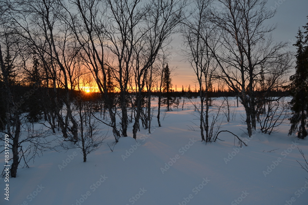 lake, sunset, water, landscape, sky, tree, nature, sunrise, reflection, river, sun, trees, winter, pond, clouds, silhouette, blue, morning, dusk, forest, calm, evening, orange, dawn, fog