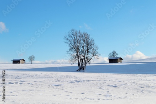 Holzhütten im verschneiten Voralpenland bei traumhaftem Winterwetter, Allgäu, Bayern © Andie_Alpion
