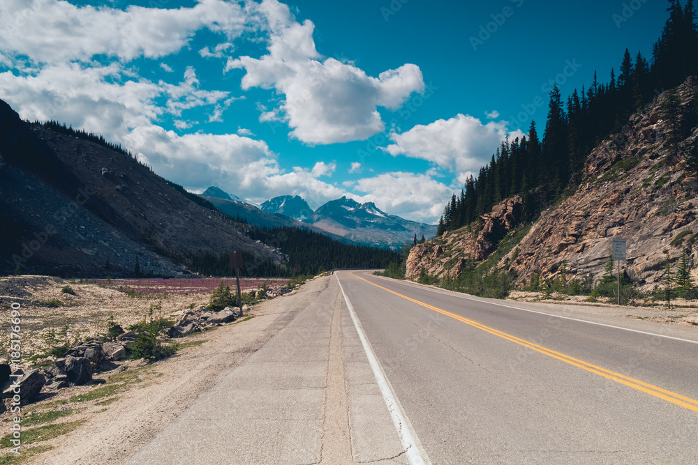 Fototapeta premium Icefield Parkway