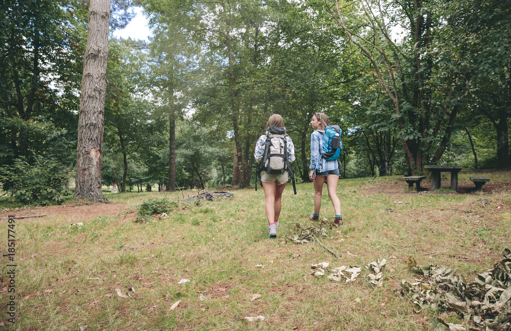 Back view of two women friends with backpacks walking into the forest