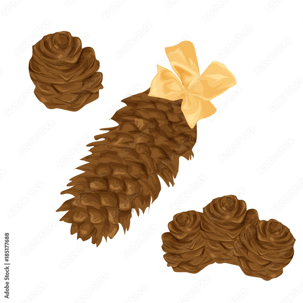 Pine cones on a white background, vector illustration in cartoon style Pine cones on a white background, vector illustration in cartoon style