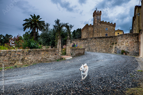 Casaglia, Pisa, Italy - 09 november, 2017: Trekking route in Casaglia, Municipality of Montecatini Val di Cecina photo