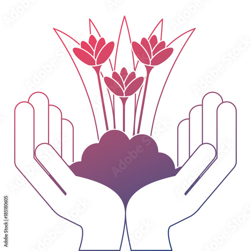 hands with beautiful flowers cultivated icon vector illustration design