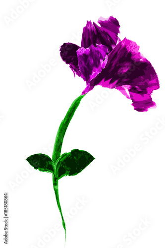 Water color, Rose Purple Flower