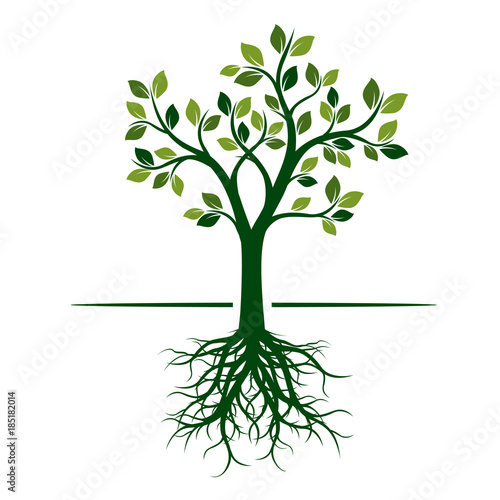 Green Spring Tree. Vector Illustration.