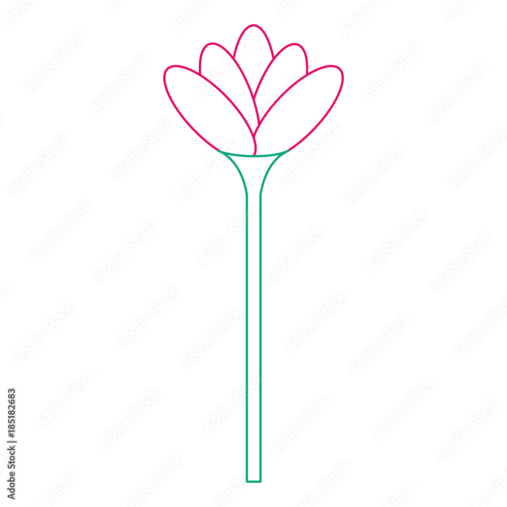 beautiful flower isolated icon vector illustration design beautiful flower isolated icon vector illustration design