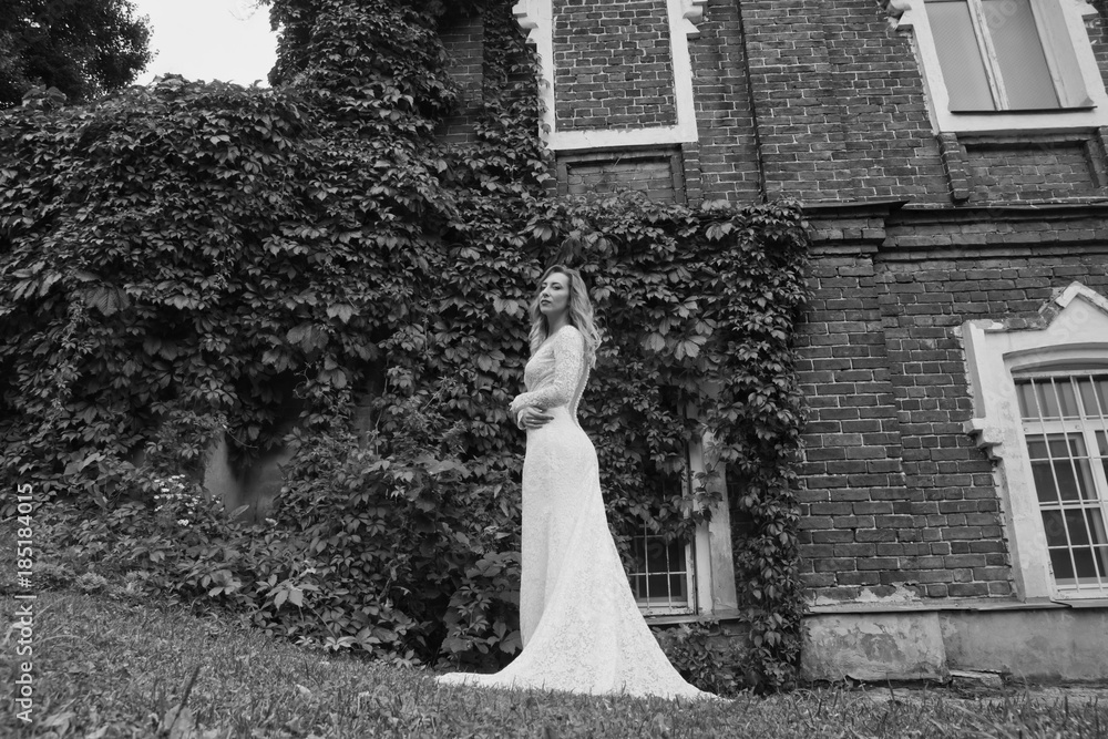 Beautiful bride in a white long dress Beautiful bride in a white long dress