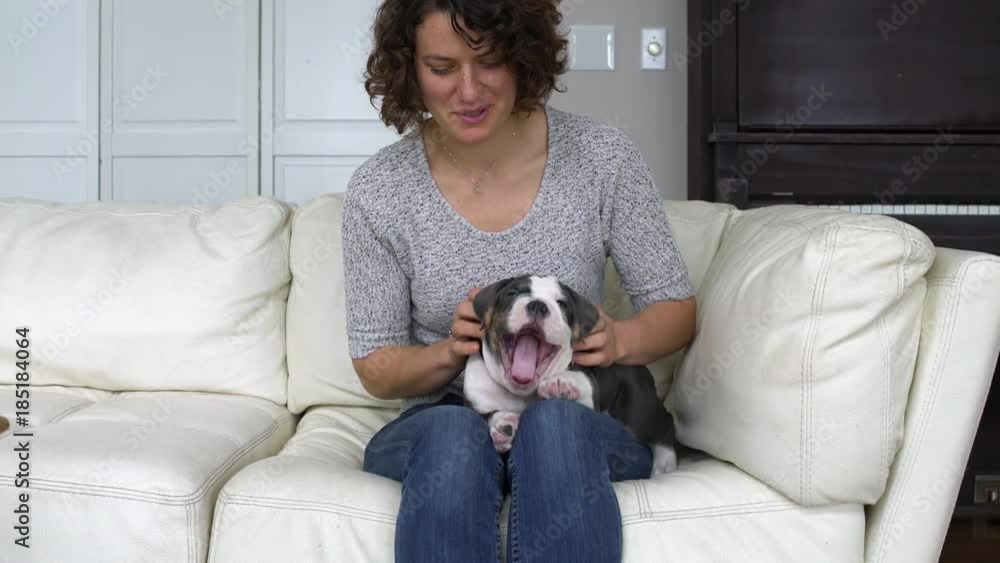 Mid adult woman stroking a puppy while sitting on a couch Mid adult woman stroking a puppy while sitting on a couch