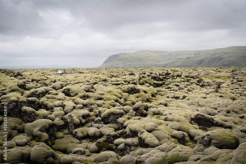 A moss covered lava field in Iceland. A moss covered lava field in Iceland.