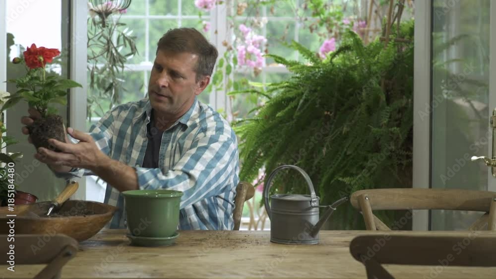 Mid adult man planting a flower in a pot Mid adult man planting a flower in a pot