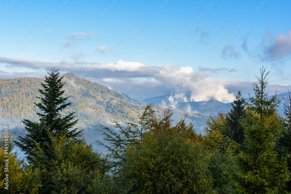Fototapeta premium Mountain landscape, autumn sunny morning. Carpathian Mountains, Mizhhiria, Ukraine.