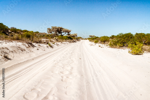 White sand track