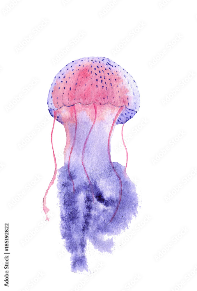 Naklejka premium watercolor jellyfish on white background