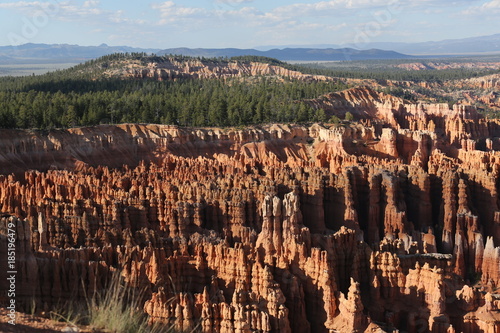 Bryce Canyon and forest