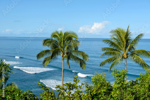 Tropical Ocean - Palm trees against blue tropical ocean and clear sky.