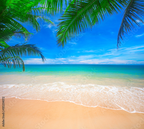 Fototapeta Naklejka Na Ścianę i Meble -  Palm and tropical beach