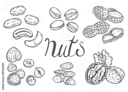 Hand drawn Nuts set