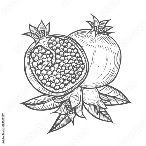 Pomegranate fruit, berry with flower and leafs.
