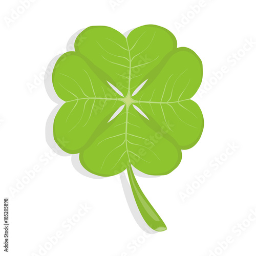 Clover, four-leafed clover, a symbol of luck. Realistic, green clover.