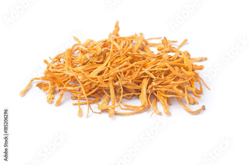 Dried cordyceps militaris isolated on white background. chong cao, dong chong cao