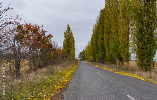 Landscape with an empty road at cloudy autumnal day in Sumskaya oblast, Ukraine