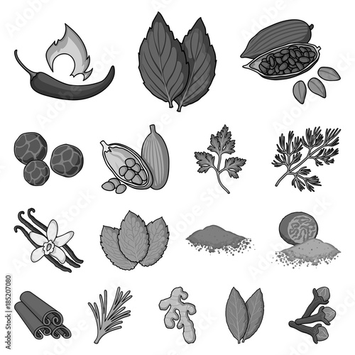 Herb and spices monochrome icons in set collection for design.Different kinds of seasonings vector symbol stock web illustration.