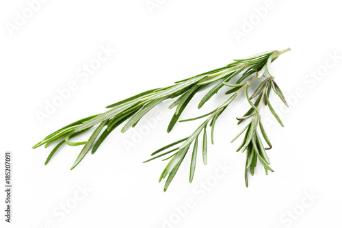 rosemary isolated on white