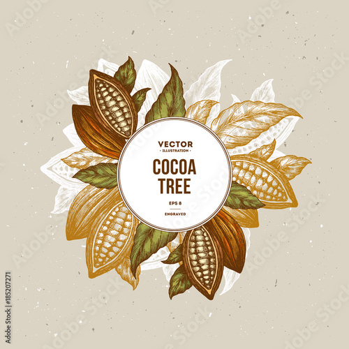 Cocoa bean tree design template. Engraved style illustration. Chocolate cocoa beans. Vector illustration