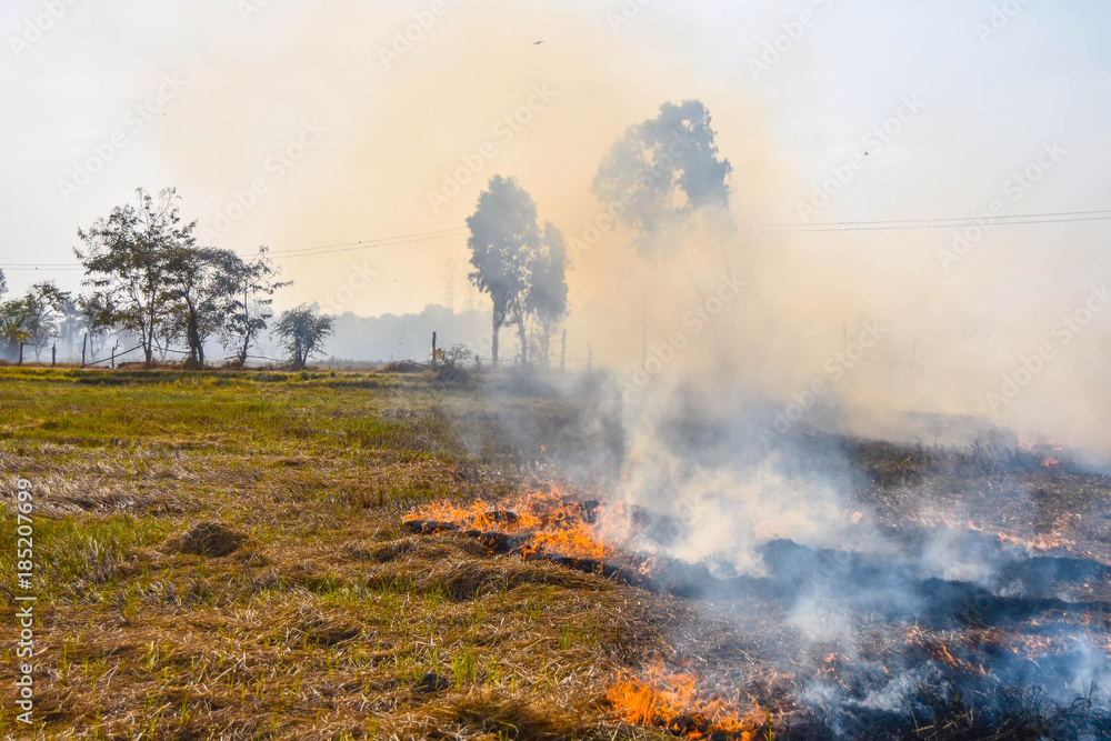 Burnt grassland and rice stubble in the densely populated dry season in Thailand, Southeast Asia.
