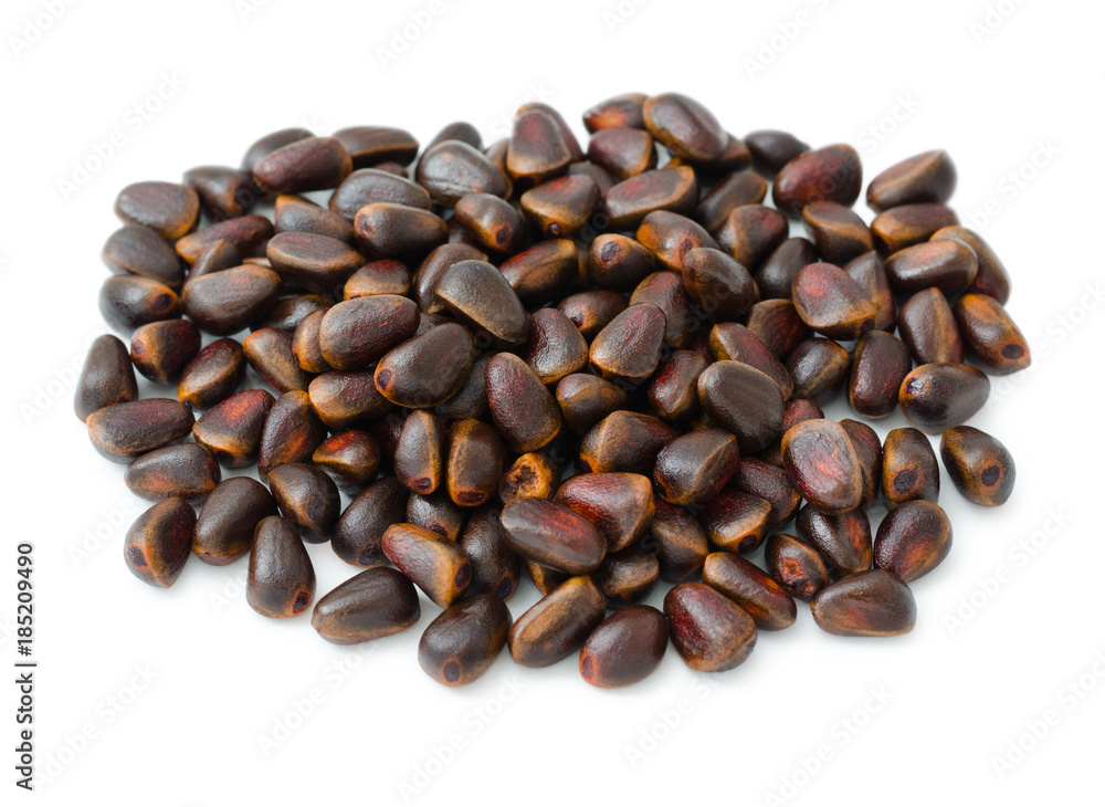 cedar nuts cedar nuts