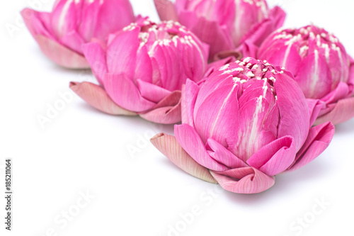 folding lotus thai style isolated on white background