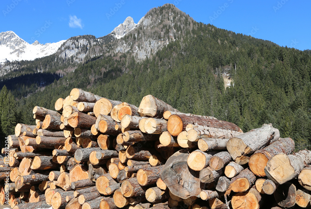 pile of wood with blue sky and mountains background