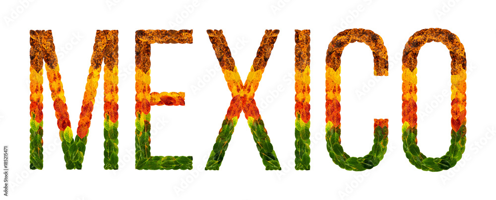 word mexico country is written with leaves on a white insulated ...