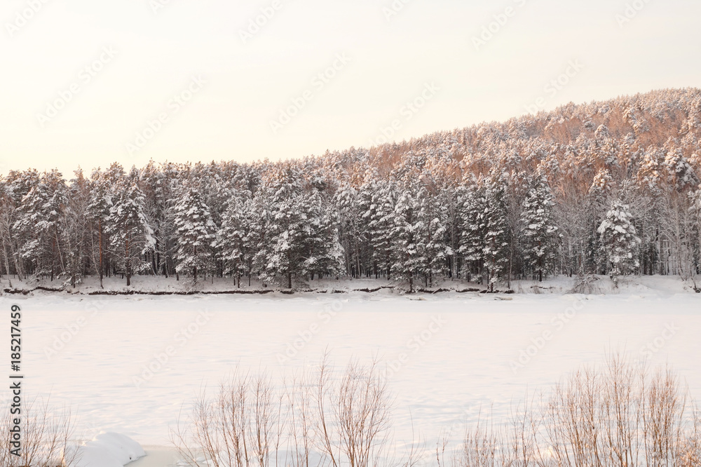 Very beautiful snow-covered forest at sunset. Frosty winter day.