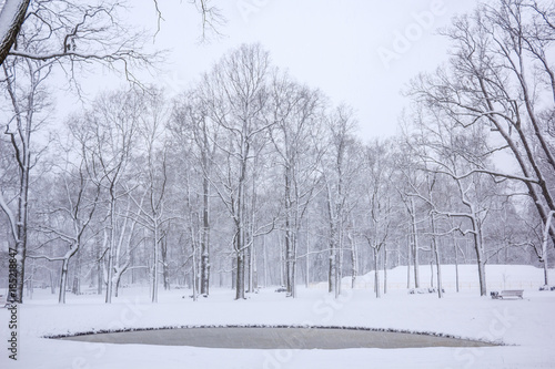 Парк во время снегопада, снежный парк 