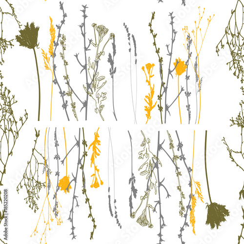 Meadow grasses, herbs and flowers outlines vector botanical seamless pattern.